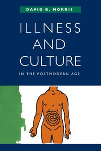 bokomslag Illness and Culture in the Postmodern Age