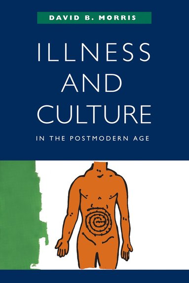 bokomslag Illness and Culture in the Postmodern Age