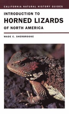 bokomslag Introduction to Horned Lizards of North America