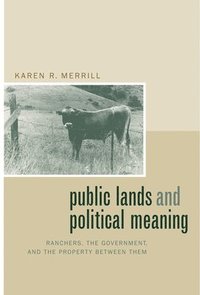 bokomslag Public Lands and Political Meaning