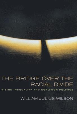 bokomslag The Bridge over the Racial Divide