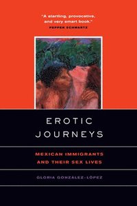 bokomslag Erotic Journeys