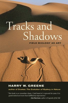 bokomslag Tracks and Shadows