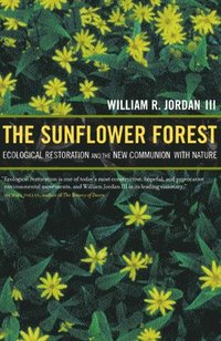 bokomslag The Sunflower Forest