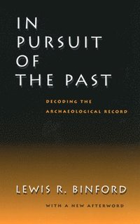 bokomslag In Pursuit of the Past