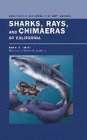 David Ebert - Sharks, Rays, and Chimaeras of California, Häftad