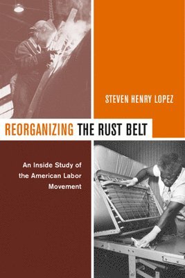 Steve Lopez - Reorganizing the Rust Belt, Häftad