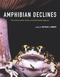 bokomslag Amphibian Declines