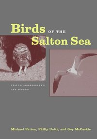 bokomslag Birds of the Salton Sea