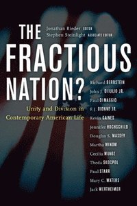bokomslag The Fractious Nation?