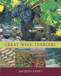 bokomslag Great Wine Terroirs