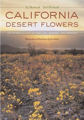 California Desert Flowers 1