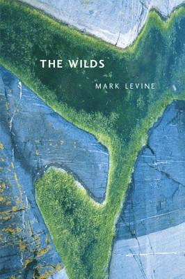 Mark Levine - Wilds, Häftad