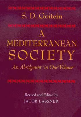S. D. Goitein, Jacob Lassner - Mediterranean Society, An Abridgment in One Volume, Häftad