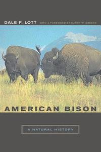bokomslag American Bison