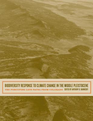 bokomslag Biodiversity Response to Climate Change in the Middle Pleistocene