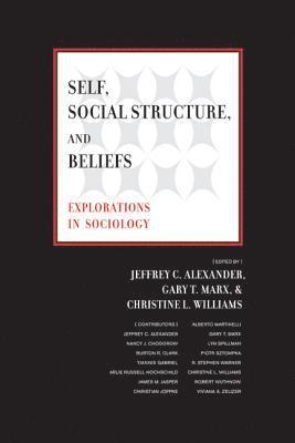 Jeffrey C. Alexander, Gary T. Marx, Christine L. Williams - Self, Social Structure, and Beliefs, Häftad