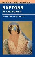 Hans J. Peeters, Pam Peeters - Raptors of California, Häftad