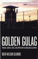 Ruth Wilson Gilmore - Golden Gulag, Häftad