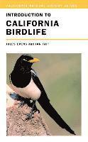 bokomslag Introduction to California Birdlife
