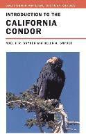 bokomslag Introduction to the California Condor
