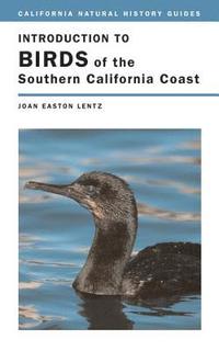 bokomslag Introduction to Birds of the Southern California Coast