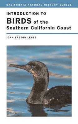 Introduction to Birds of the Southern California Coast 1