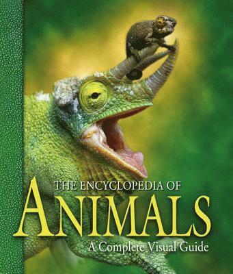 George McKay, George Mckay - The Encyclopedia of Animals: A Complete Visual Guide, Inbunden