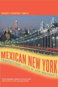 bokomslag Mexican New York