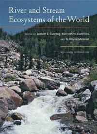 bokomslag River and Stream Ecosystems of the World