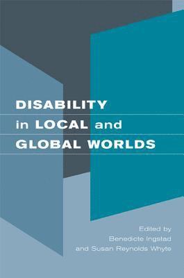 Benedicte Ingstad, Susan Reynolds Whyte - Disability in Local and Global Worlds, Häftad