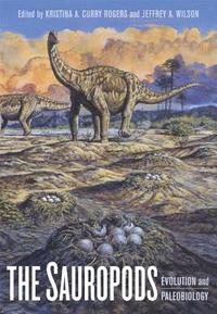 bokomslag The Sauropods