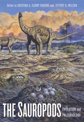 The Sauropods 1