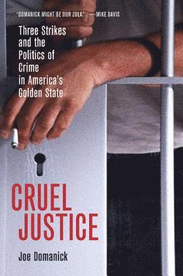 bokomslag Cruel Justice: Three Strikes and the Politics of Crime in America's Golden State
