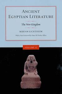 bokomslag Ancient Egyptian Literature, Volume II: The New Kingdom