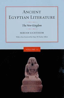 bokomslag Ancient Egyptian Literature, Volume II: The New Kingdom