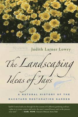 Landscaping Ideas of Jays 1