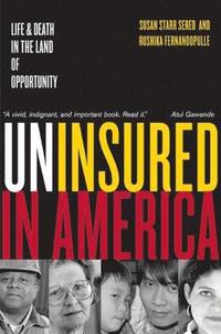 bokomslag Uninsured in America, Updated