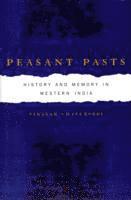 Vinayak Chaturvedi - Peasant Pasts, Häftad