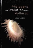 bokomslag Phylogeny and Evolution of the Mollusca