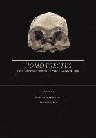 bokomslag Homo erectus