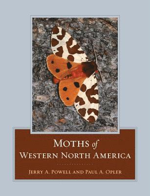 bokomslag Moths of Western North America