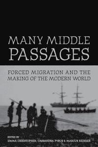 bokomslag Many Middle Passages