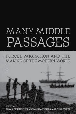 Emma Christopher, Cassandra Pybus, Marcus Rediker - Many Middle Passages, Häftad