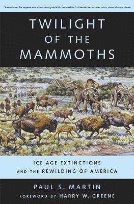 Paul S. Martin - Twilight of the Mammoths, Häftad