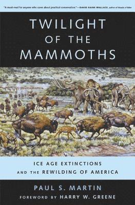 Twilight of the Mammoths 1