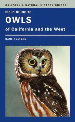 Hans J. Peeters - Field Guide to Owls of California and the West, Häftad