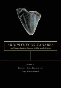 bokomslag Ardipithecus kadabba