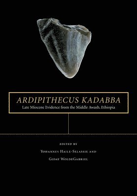 Ardipithecus kadabba 1