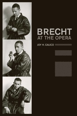 Joy H. Calico - Brecht at the Opera, Inbunden